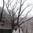 송산초교 이미지