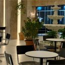 루트커피 이미지