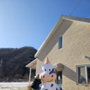 우목장 | 포천 카이막치즈가 있는 사르르목장 후기 커피 맛집