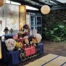 올레리조트 이미지