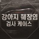 탄방메디칼 이미지