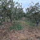 디딤돌농장 이미지