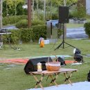 음악역1939 피크닉 콘서트 이미지