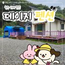 멍뭉미 | 원주 귀래 데이지펜션 소금산 출렁다리 근처 강원도 원주 신상 펜션
