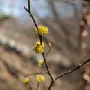 참새골약수터 이미지