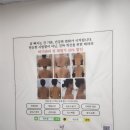 위드영 | 안산 등드름 약초필 위드영 내돈내산 후기