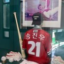 한국야구명예의전당 | 서귀포 “한국야구 명예의 전당”