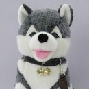 브라우니 이미지