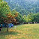장수방화동가족휴가촌자동차야영장 이미지