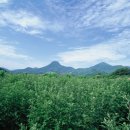 쑥향기한의원 이미지