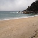 부부횟집 이미지