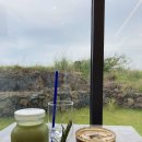 제주도게스트하우스파티달이머물 | 제주도한달살기 추천하는 이유, 비용_제주도 게스트하우스 스탭 고르는 기준(계획ppt)