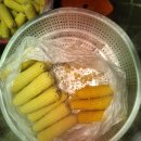 동광리-2 이미지