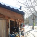 용문산 둥지 이미지