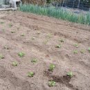 갑천농장 이미지