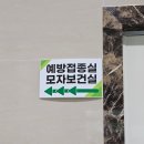 청주 오창 청원보건소 백일해 주사 예방접종 후기 : 임신 30주