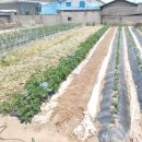 가마솥수제순대국밥 이미지