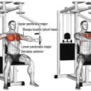 함마대로-2 이미지
