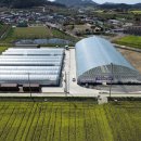 김태성농장 이미지