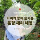 대철네