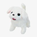슈슈 이미지