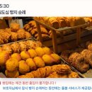 대전펫츠