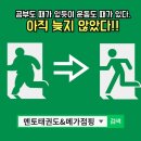 멘토태권도 이미지