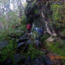 아침향기 이미지