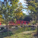 일방통행길(도로명 미표시) | 경주 산내 무인정원 카페 올라야 산책과 휴식을 한번에