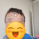 장식벽 | 크리스마스 벽트리 DIY 장식 헬로닷 후기:))