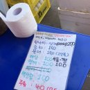 모란시장 | 모란시장 인천횟집 메뉴 가격 내돈내산 후기 모란시장 해산물 포차 인천 횟집