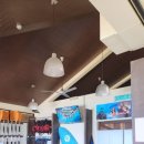 스타사파리(star safari) 이미지