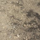 영돌농장 이미지