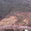 광의면사무소 이미지