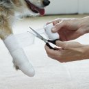 베이지동물병원 이미지