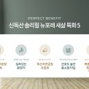 솔리 이미지