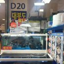 [서울살이] 노량진 수산시장 횟집 초장집 숙소 추천!