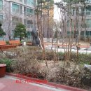 공덕 한화꿈에그린아파트(103동 앞) 이미지