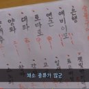 콕 코리아 네이버블로그