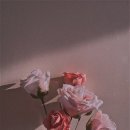 현핏 - 연수구 하모니로36번길 19 | 현핏