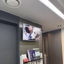 더오래 동물병원 | 강아지 항노화 관리 한남동 더힐동물병원 리뉴독 상담 후기