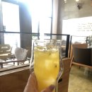 버블보드게임카페