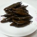청량마 Daum카페