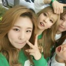 도레미파도 이미지