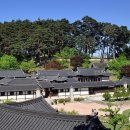 [강원/강릉] 해송의 푸르름은 안은 최고의 전통가옥 강릉 선교장