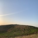 돌담너머바다 이미지