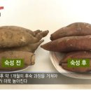 경화농장 이미지