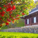 이렇게좋은날 이미지