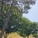 료미 | 경주 황리단길, 기다려서 먹은 료미 후기."아 이래서 황리단길 맛집이라고 하는구나!!"😀