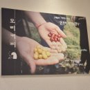모리커피경주 - 경주시 황성로 31 | 모리커피경주